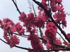 -荆川公园