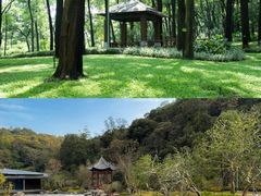 -云溪植物园