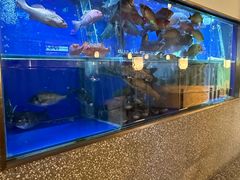 -顺峰顺水顺德菜(第一百货店)