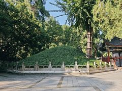 -武侯墓风景区