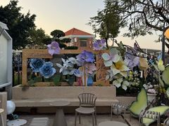 -苏小糖(鼓浪屿三丘田花园店)