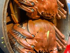 -蟹榭·本帮江浙菜·蟹宴(五角场合生汇商场店)