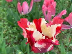 -北京植物园-展览温室