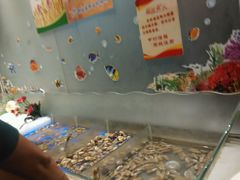 -银鲨海鲜烤肉火锅自助餐厅(五星店)