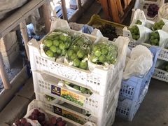 -马陆小张葡萄园农家乐