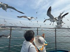 -海驴岛(荣成市)