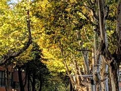 -西安电影制片厂