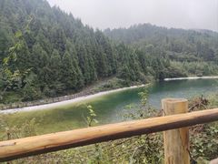 -武陵山森林公园