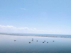-青海湖仙女湾景区