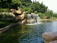 android_upload_pic-中旅阿那亚九龙湖·公主酒店