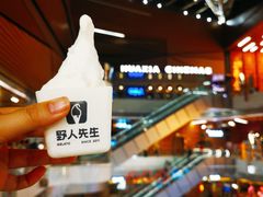 -野人先生现做冰淇淋(北京环宇荟店)