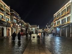 -罗布林卡