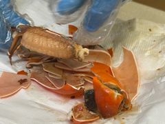 -喜记避风塘炒辣蟹(旗舰店)