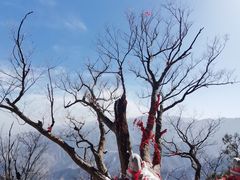 -终南山南五台景区