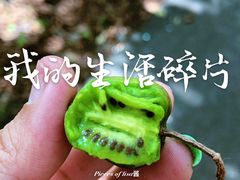 -大连天门山国家森林公园
