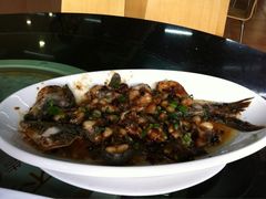 iphone_upload_pic-美极鲜食坊(宝安南路店)