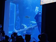 -太平洋海底世界