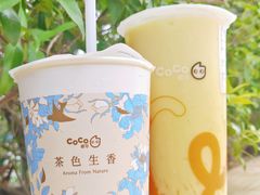 -CoCo都可(中华广场店)