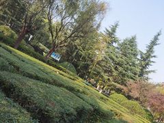 -城市运动公园(未央区)