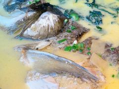 凤凰鱼头王-凤凰湘语(浦东旗舰店)
