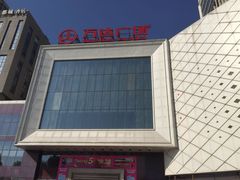 -天鹅恋