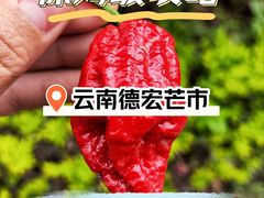 -德宏芒市国际机场