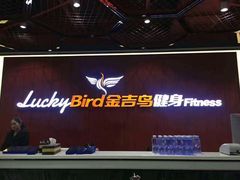 -金吉鸟健身游泳