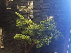 -上足·影院足道·SPA(红岭店)