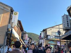 -有栖山 清光院 清水寺