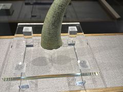 -柳州博物馆