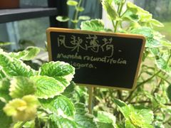 -山下C5cafe(惠通时代广场店)