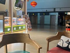 -青岛胶东国际机场
