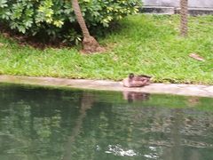 -晓港公园