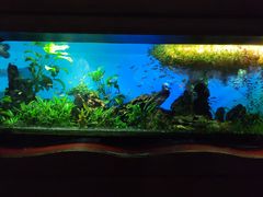 -太平洋海底世界