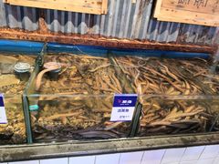 -开海·红岛海鲜虾水饺(石老人店)