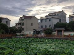 -金华体育中心游泳馆