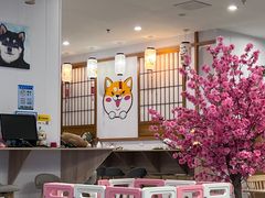 -柴犬小屋·柴餐厅·狗咖食堂(金鼎广场店)