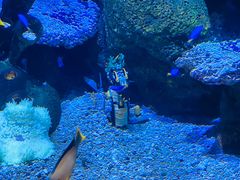 -沈阳海洋探索中心