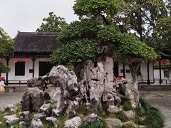 -水绘园