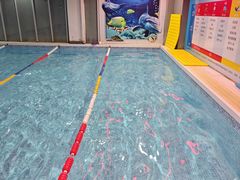 -小蓝鲸游泳培训基地(积水潭店)