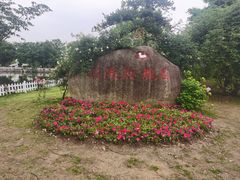 -鹅湖玫瑰文化园
