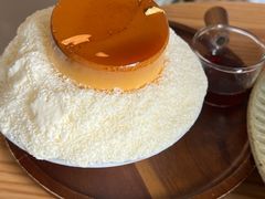 -猫里有甜