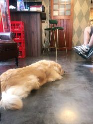 -Libertines barbershop 浪子理发店