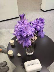 -JNK皮肤管理中心