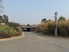 -白鹭湾湿地公园