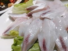 -金砂阿洲鱼册店