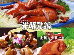 -南粤光明乳鸽(宝安中心店)