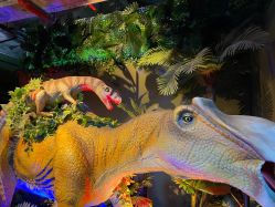 -恐龙探索乐园(磁器口店)