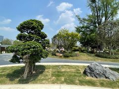 -成都市文化公园