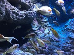 -成都浩海立方海洋公园